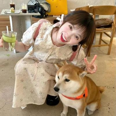 花姊妹风流债