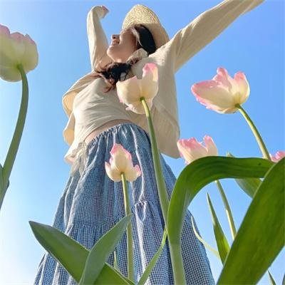 芹菜怪物的茎